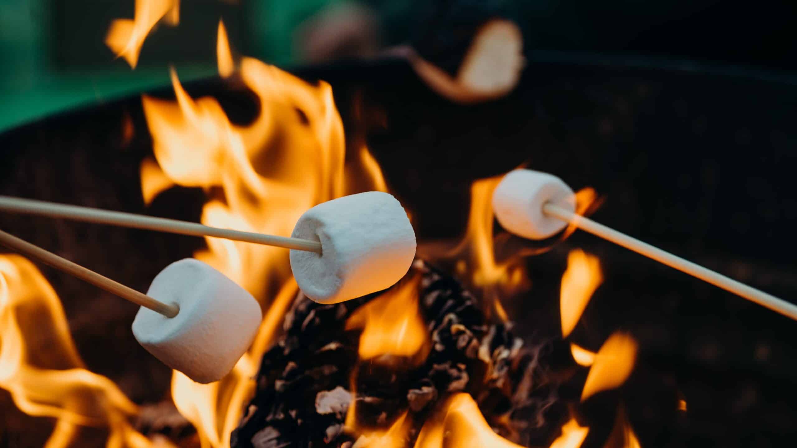 Marshmallows boven het vuur bij een Wooldse camping